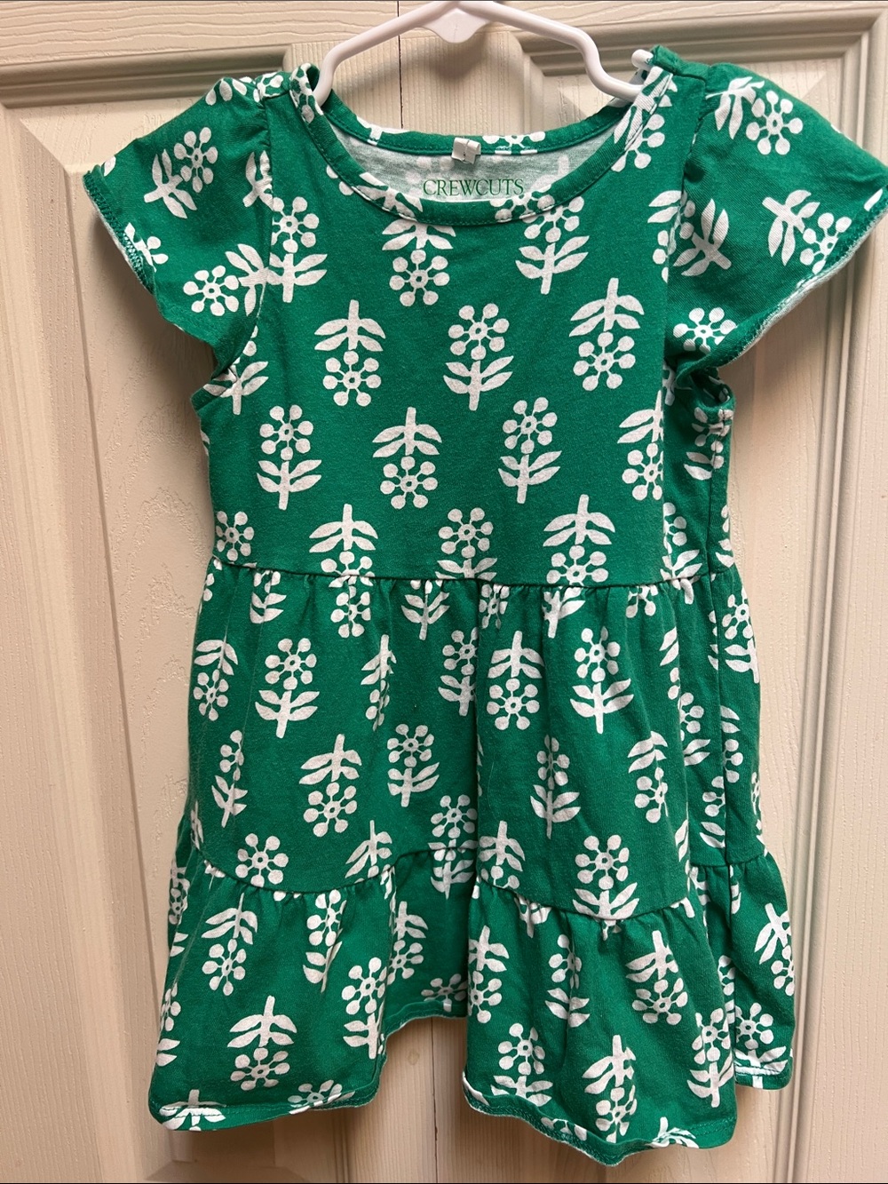 J. Crew Factory Green Floral Print Girls' Dress